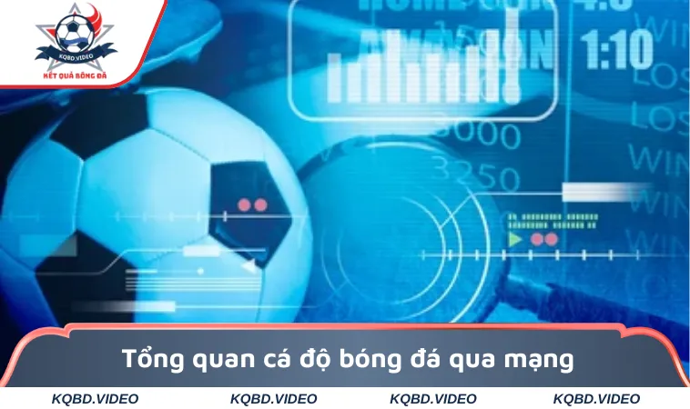 Cá Độ Bóng Đá Qua Mạng - Những Lưu Ý Quan Trọng Cần Biết 1 Tổng quan cá độ bóng đá qua mạng dành cho người mới